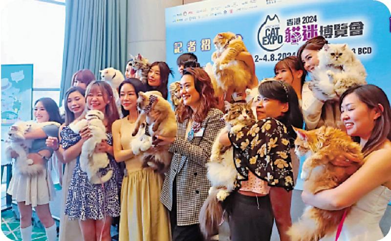 ﻿香港猫迷博览会2024
