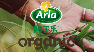  Can Arafuz and Sodaya solve the problem of foreign milk powder in China market?