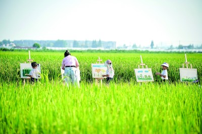 四川眉山：幼兒園小朋友田間寫生