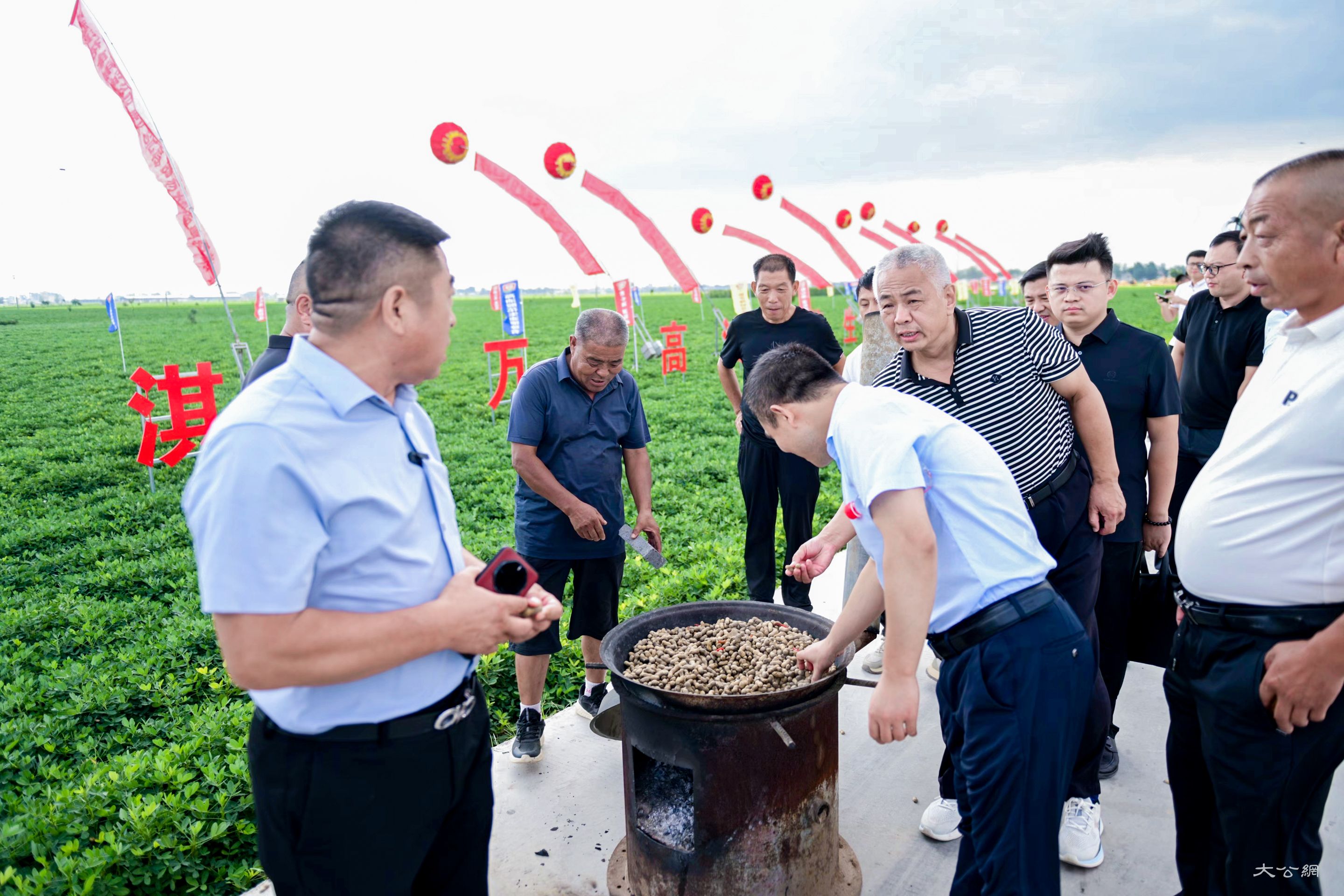 河南高油酸花生产业链调研行走进鹤壁