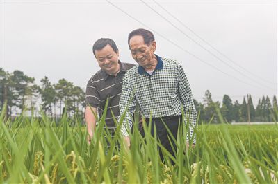 很想和他再道一聲“教師節(jié)快樂(lè)”