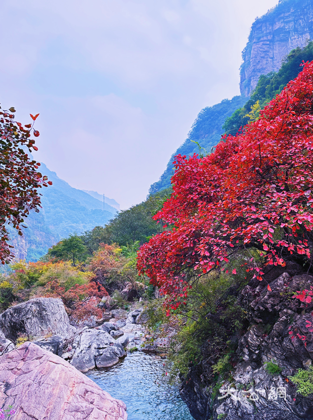 新乡南太行关山景区：独特魅力与卓越风姿