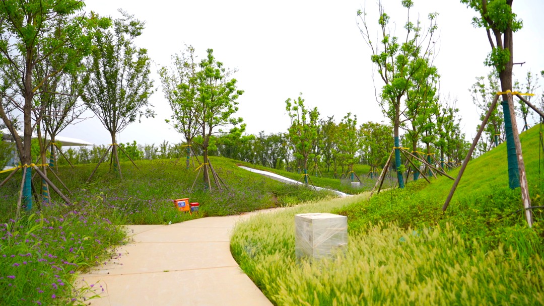 長沙大澤湖濕地公園首開區(qū)即將亮相