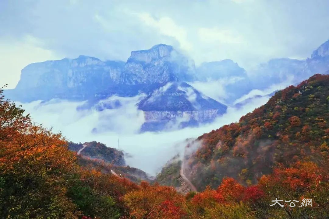 新乡南太行秋雨后红叶与云海共绘秋日奇景