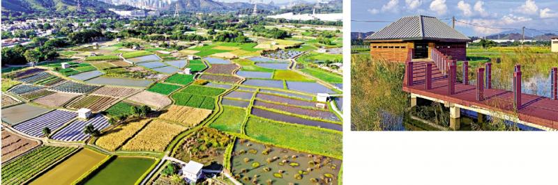 ﻿塱原自然生態公園設施