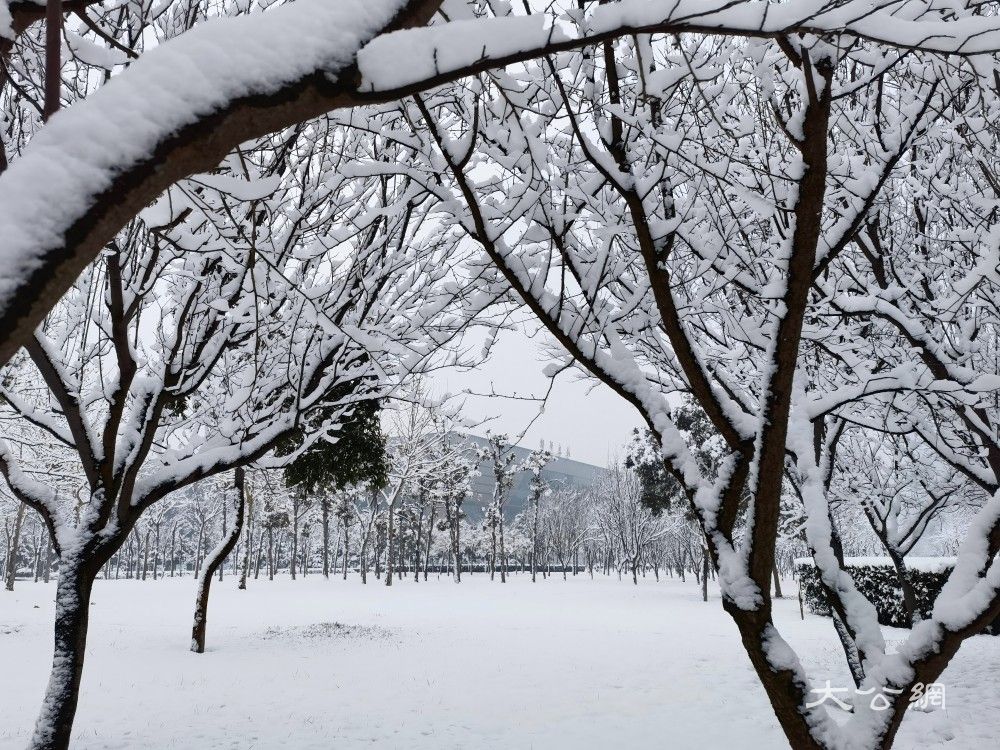 【大公诗页】大 雪