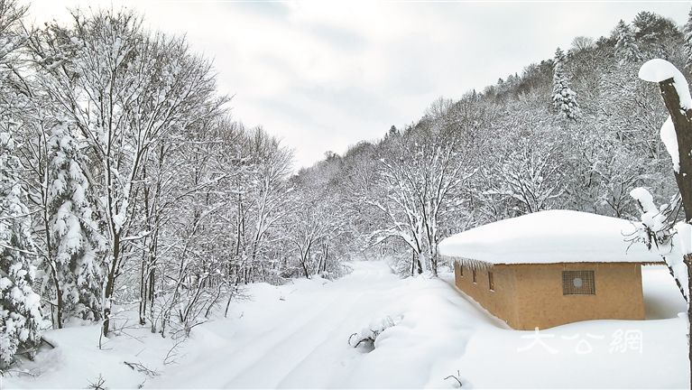 走进原始森林 置身冰雪童话