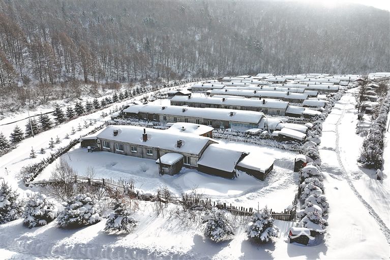 走进原始森林 置身冰雪童话