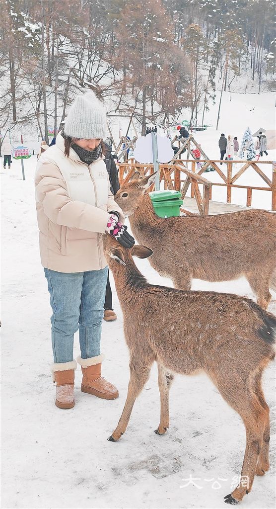 伊春 全力打造森林冰雪旅游度假勝地