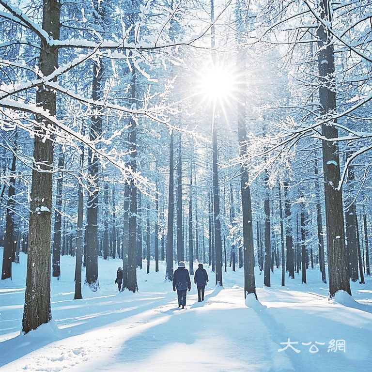 伊春冰雪森林 不只是美景 更是一场冬日奇遇