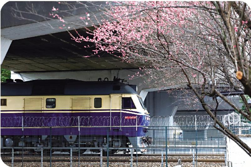 ?市井萬象/“開往春天的列車”