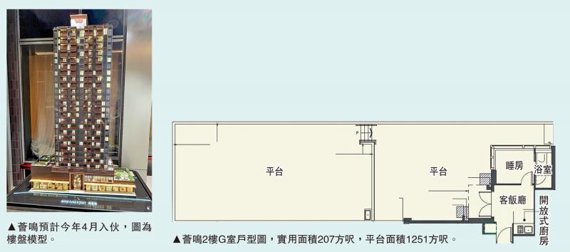 ?薈鳴：特色戶平臺1251方呎 室內(nèi)僅207方呎 