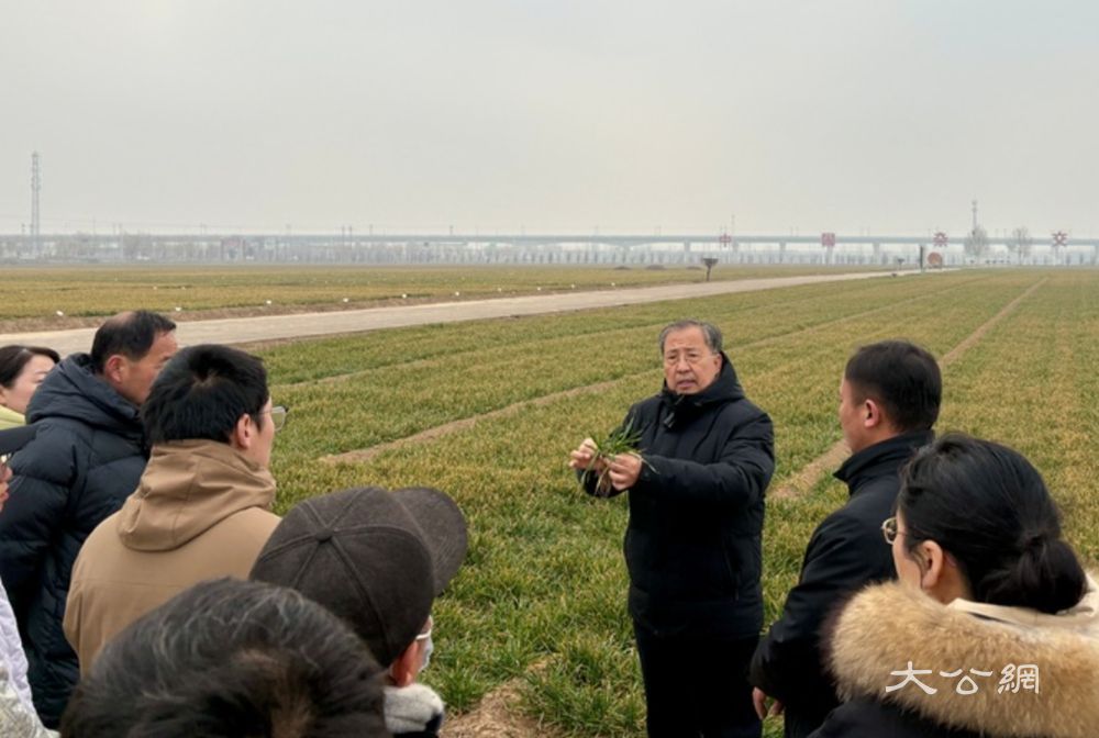 全國(guó)人大代表茹振鋼：農(nóng)業(yè)新質(zhì)生產(chǎn)力讓麥田長(zhǎng)出“科技增量”