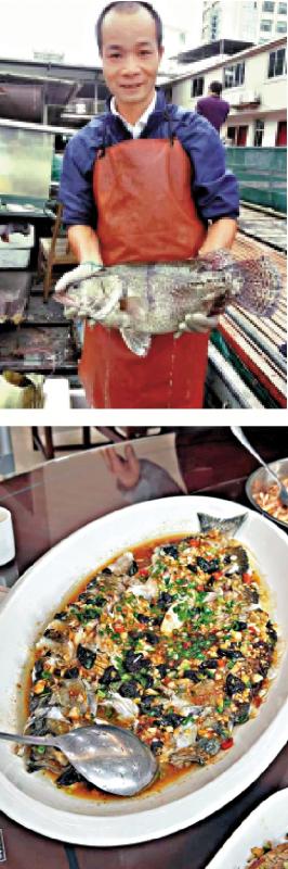 ﻿美味之源/“没有河源好水，再好的鱼也煮不出鲜味”