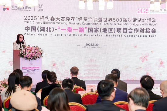 天风国际连续第二年深度参与2025“相约春天赏樱花”经贸洽谈暨世界500强对话湖北活动