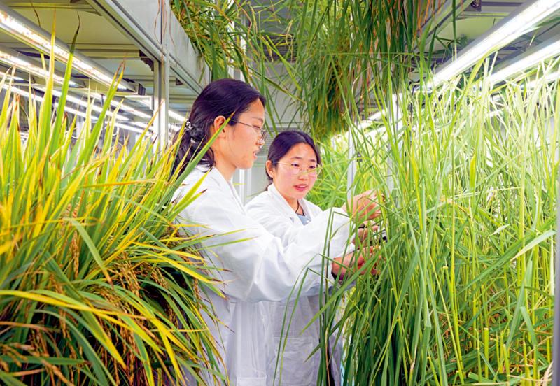 开始建设农业力量7关键任务