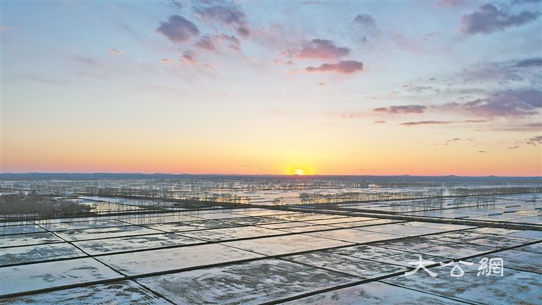 北大荒集团齐齐哈尔分公司 多举措助力粮食单产提升