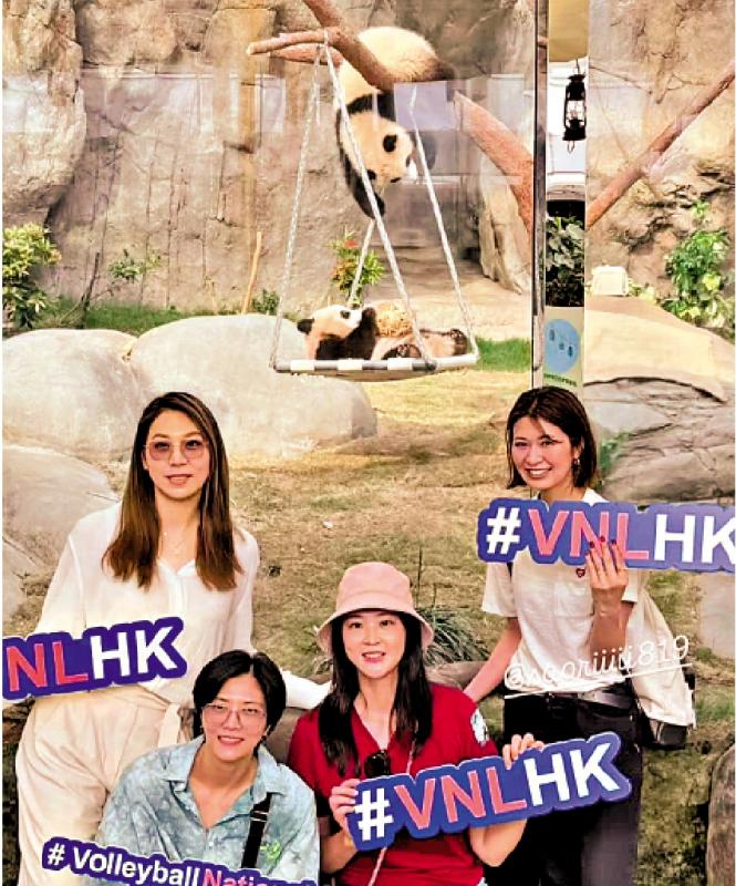 ﻿惠若琪等探望熊猫龙凤胎