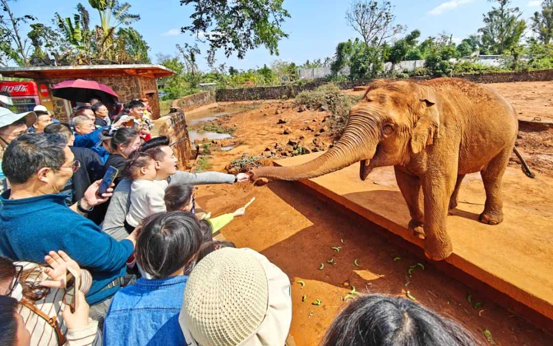 研學遊天涯 夏日帶孩子來海口開啟研學之旅吧！