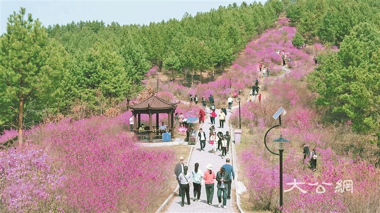“花海直播”带火农产品销售