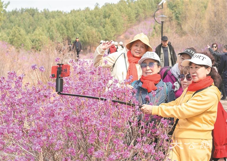 “花海直播”带火农产品销售
