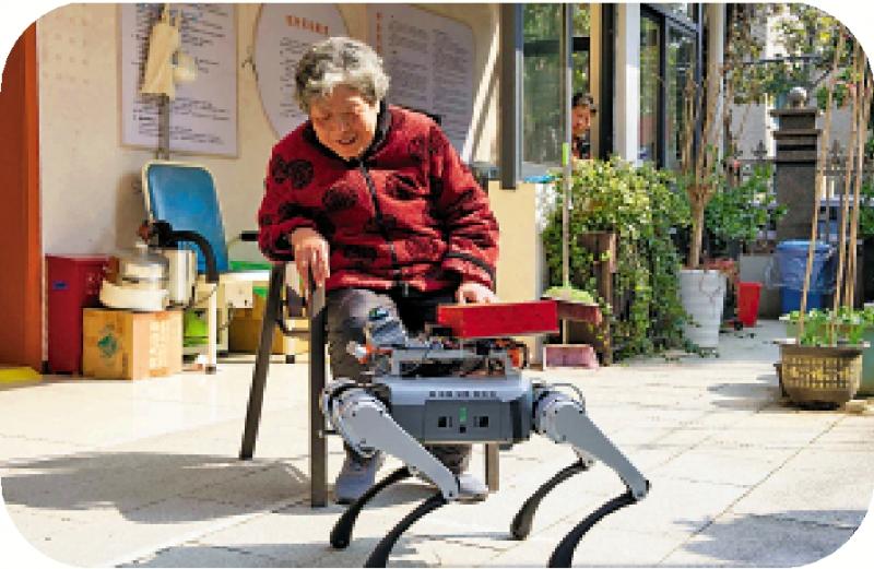 ﻿健康好帮手 长者排队“遛”AI狗