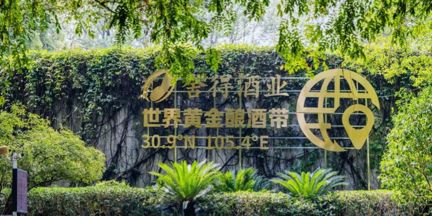 直面上交所问询2024年报，舍得酒业详细回复拆解风险点
