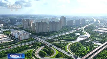 中央政治局会议释放了哪些重要信号？专家解读