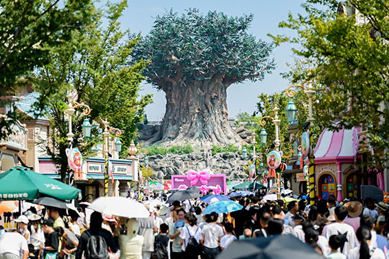 共赴五年歡樂之約！銀基動物王國與冰雪酒店生日慶典完美收官