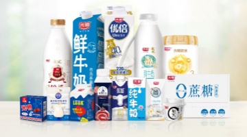 光明乳业2025半年报：核心指标稳中向好，全链创新构筑行业韧性壁垒