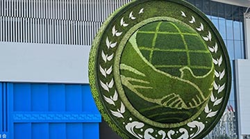 王毅介绍上合组织天津峰会八大成果