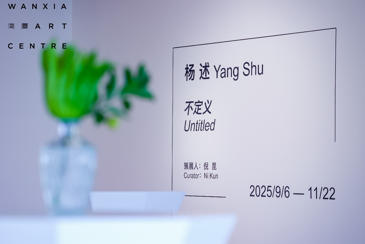 探索当代艺术在地化!杨述个展《不定义》在湾厦艺术中心启幕