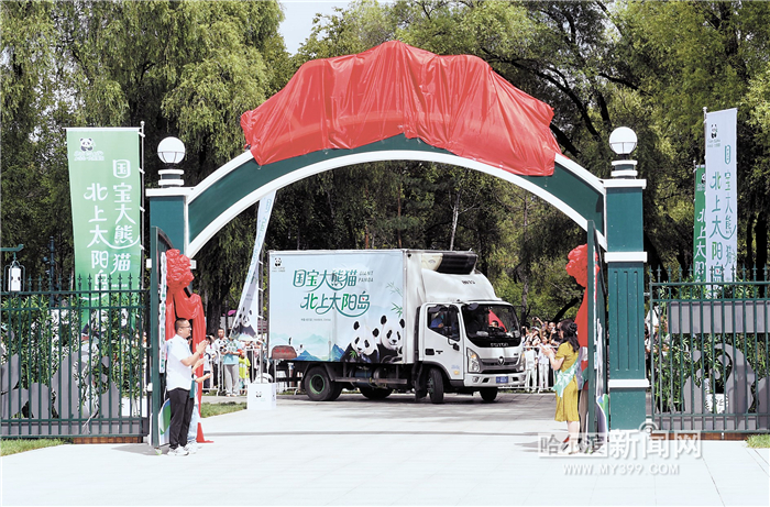 “国宝兄弟”安家哈尔滨 大熊猫“芝士”“芝麻”顺利落户太阳岛大熊猫馆
