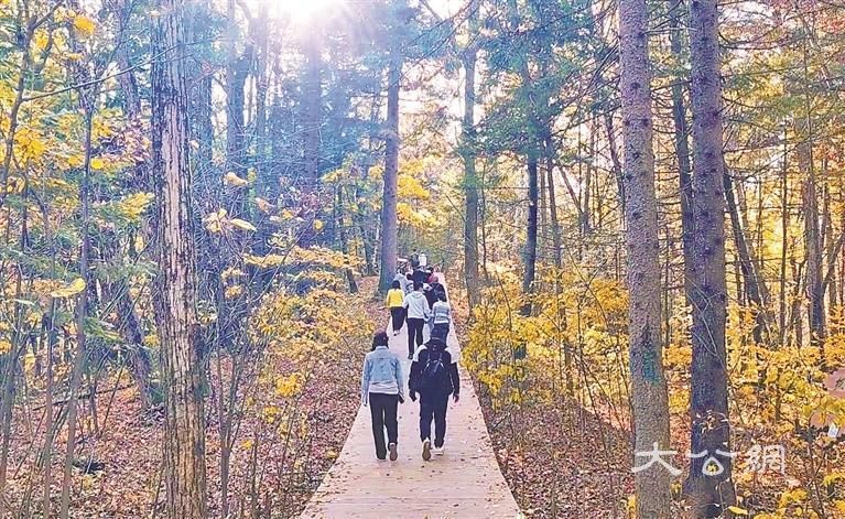 伊春五花山秋韵惹人醉