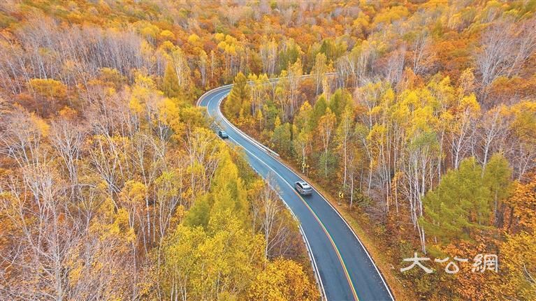 伊春五花山秋韵惹人醉