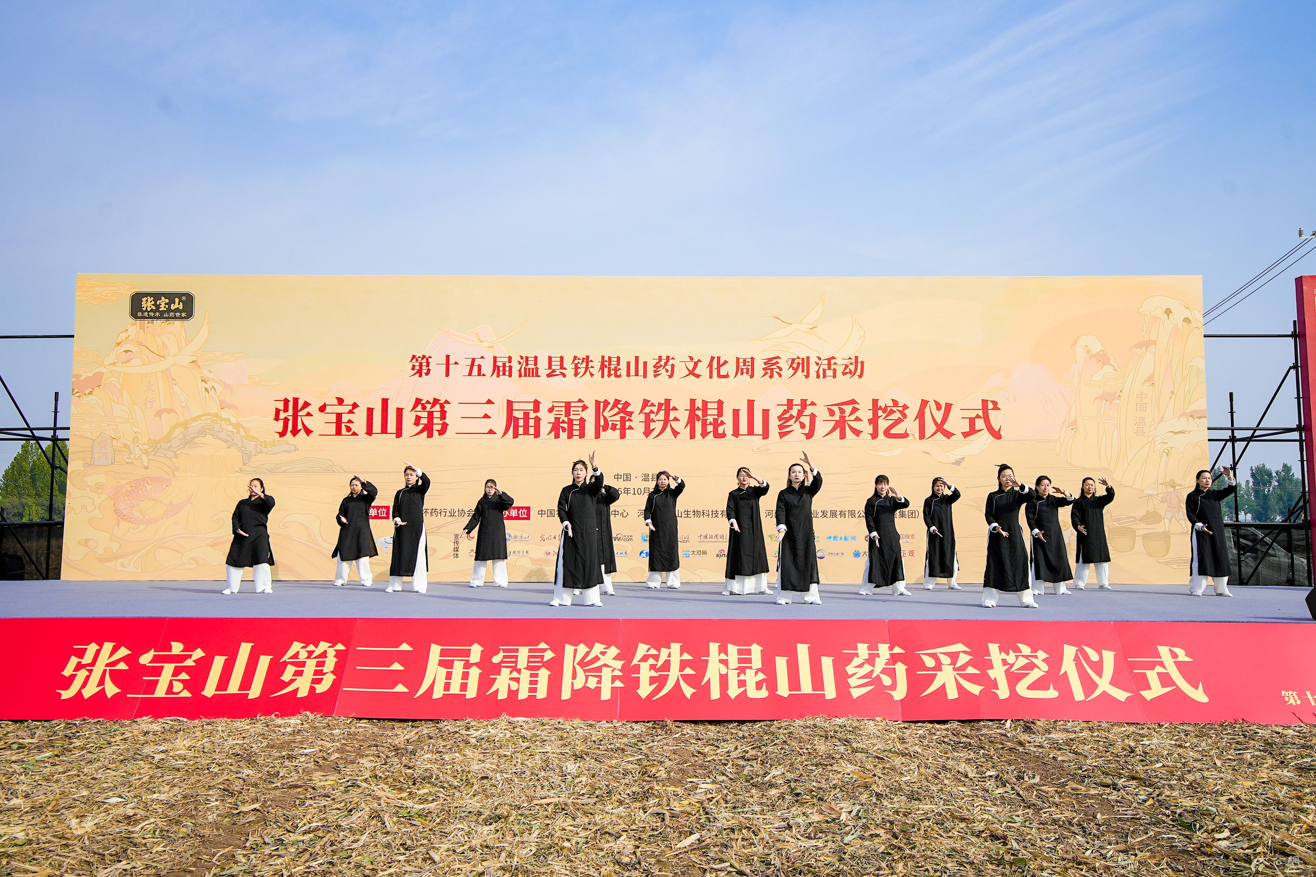 河南焦作上演铁棍山药丰收庆典 政企媒携手共绘山药产业振兴新图景