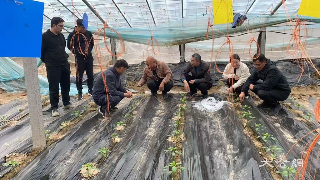 杞县社会工作部联合多部门开展抢抓秋播农时志愿服务活动