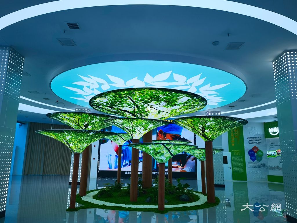 恒利康生物科技 | 老药材焕发新动能，小辛夷撬动大产业