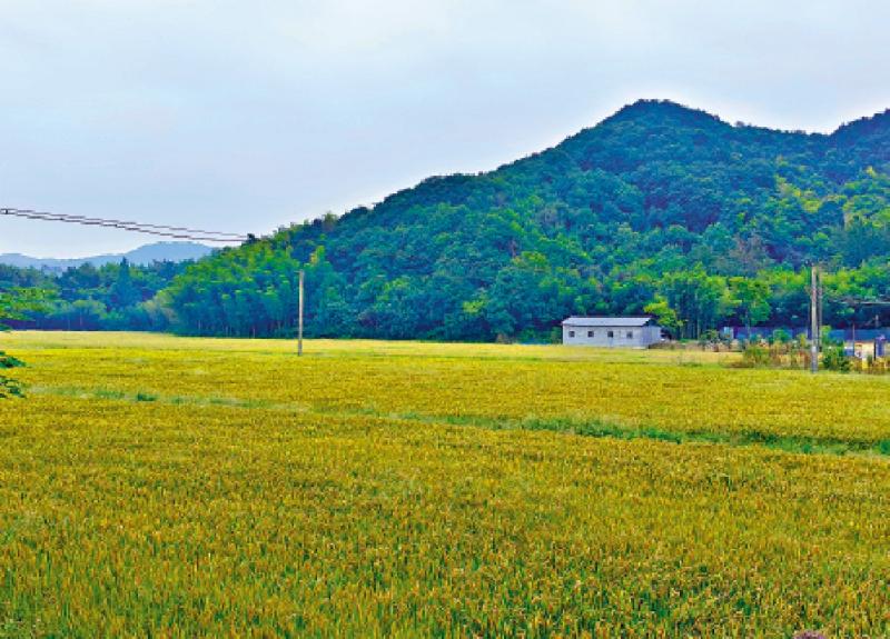 君子玉言/想起自己的旧世界\逍遥