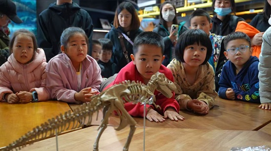 中国科学院第八届科学节古生物研学基地分会场活动精彩启幕