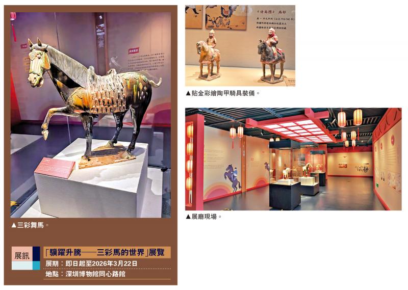 ﻿千年陶马与“十五运”马术跨时空对话 “骥跃升腾──三彩马的世界”亮相深圳