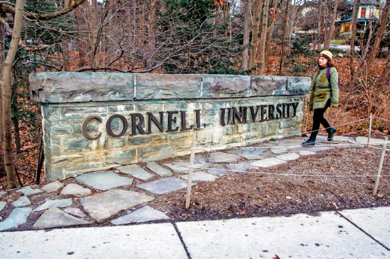 ﻿康奈尔大学跪低 支付4.6亿与特朗普政府和解