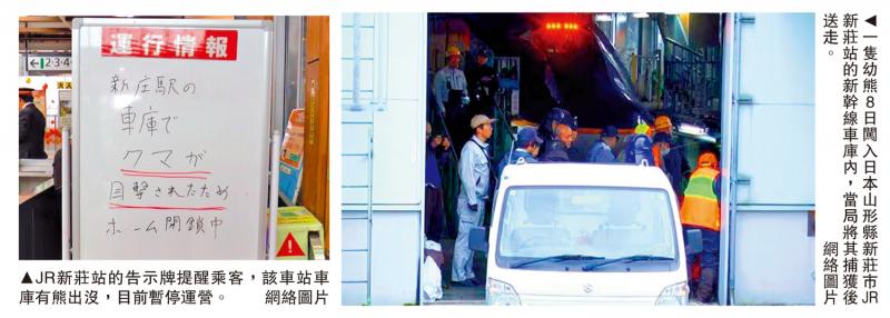 ﻿幼熊闯日本新干线车库 列车一度停驶