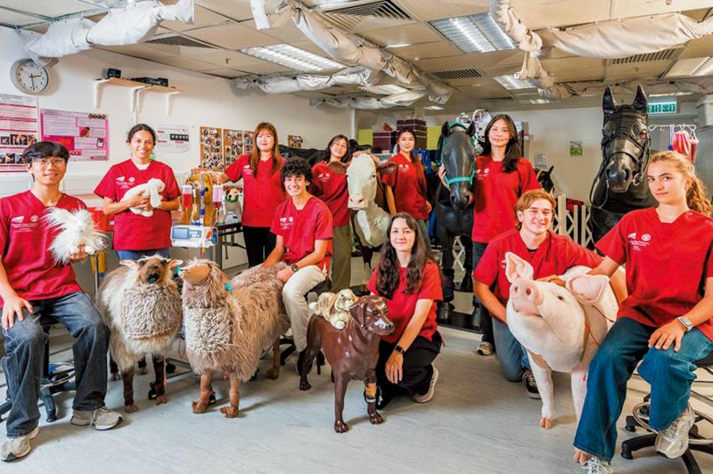 ﻿城大兽医课程 国际生比例创新高