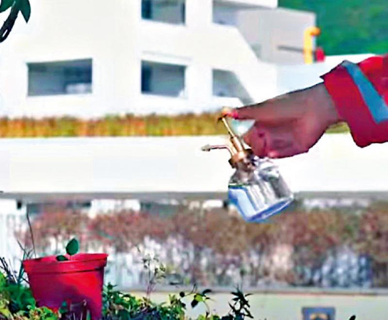 ﻿选票如“珍贵水滴”润泽社会