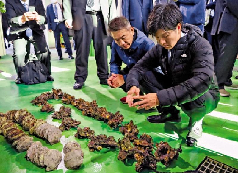 ﻿日本广岛蠔大规模异常死亡 或因海水升温