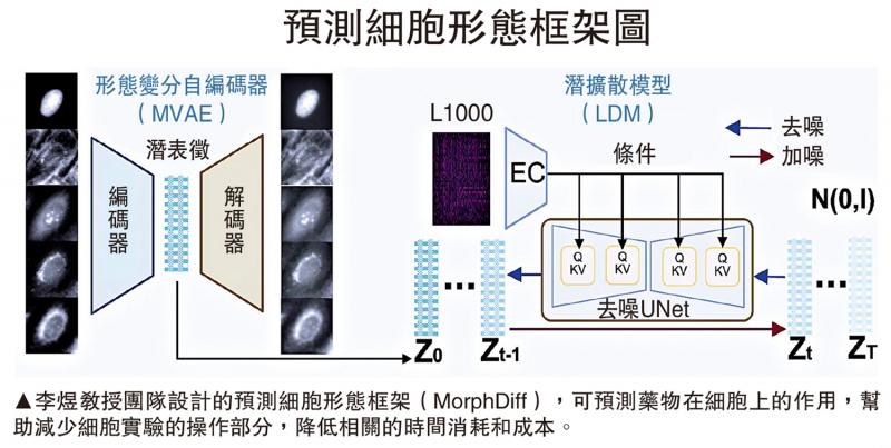 ﻿降低成本/用AI预测药物在细胞上的作用