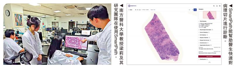 ﻿提速提效/快速分析病理切片 提供治疗建议