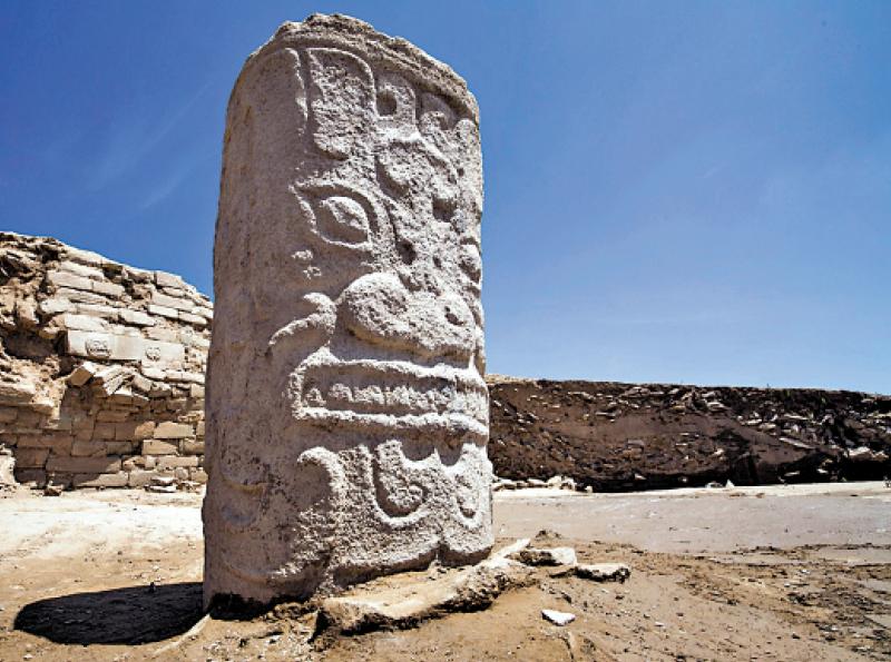 ﻿科学考古/中国团队解码古DNA 揭石峁人身世之谜